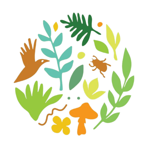 Logo Forêt vive
