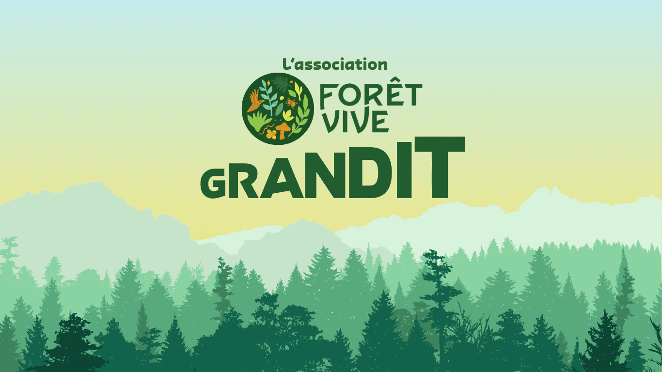 Illustration de Forêt Vive